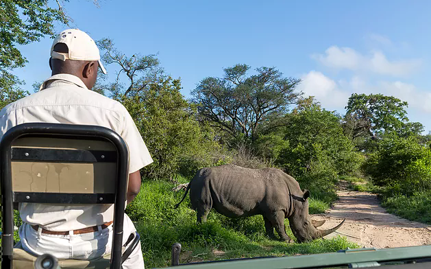 The essence of a safari - game drives