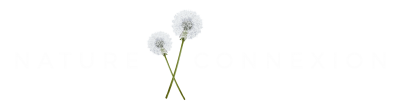 Nature Connexion Logo White PNG